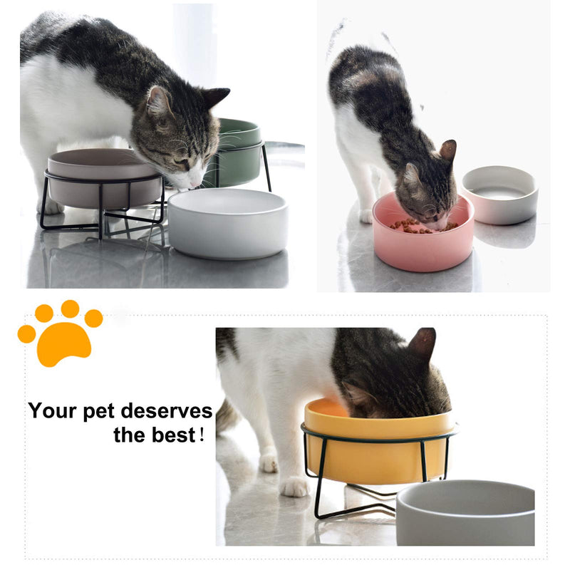 PETTOM Double Cat Bowl Ceramic, Elevated Cat Bowls Pet Cat Food Bowls White and Green, Tilted Small Dog Bowl Kitten Cat Bowl with Stand, 2 Pcs 2 pack - PawsPlanet Australia