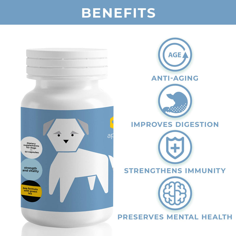 ApiPet Senior Pet Dietary Supplement - Natural Formula for Older Dogs - Green Tea Extract, Bee Pollen, Ginger, Propolis - Support Immune & Digestive Function - Anti-Aging & Calming Vitamins - 60 caps - PawsPlanet Australia