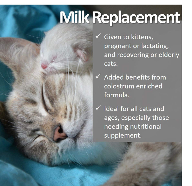 Vet Worthy Milk Replacement for Cats (12 oz Powder) - PawsPlanet Australia