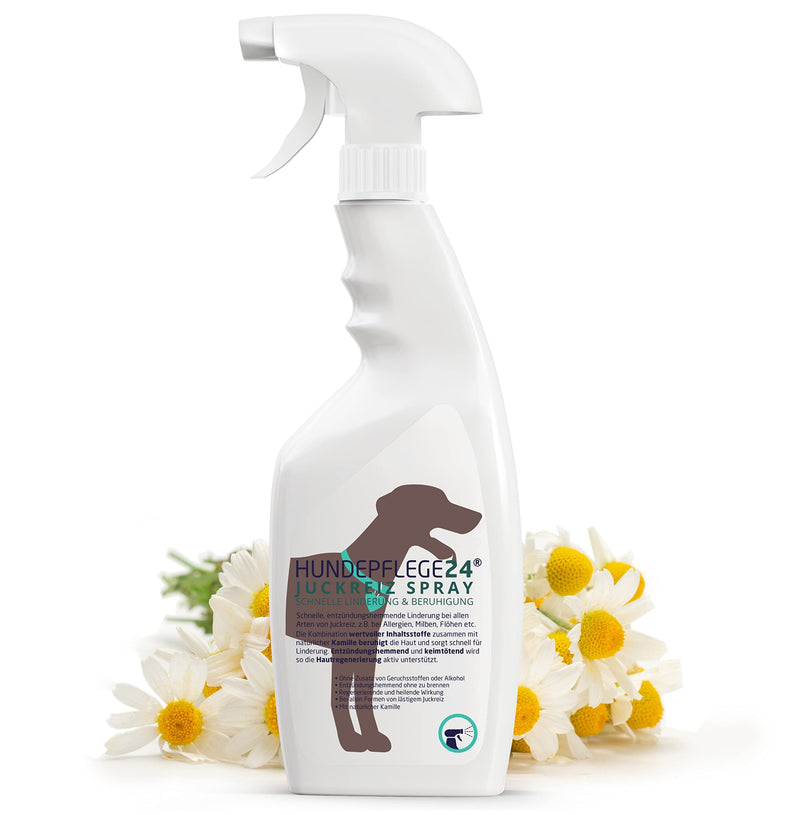 Hundepflege24 anti-itch spray for dogs - effective immediate help and calming for inflammation, mites, grass mites, fungi, fleas and much more. - Pet care remedy for dog itching - 500ml - PawsPlanet Australia