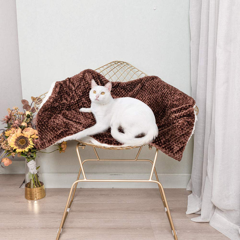 Pet Blanket for Small Medium Large Dogs, Soft Warm Plush Pet Throw Blankets, Washable Pet Bed Blanket, Dog Cat Sleep Soft Cushion Pad, Cotton Velvet Dog Bed Blanket, Pet Dog Cat Mat for Sofa Bed S:61x81cm Cotton Velvet Brown - PawsPlanet Australia