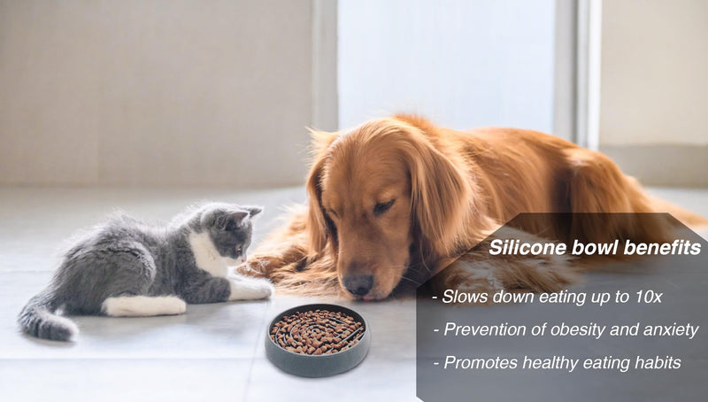 Silicone Slow Feeder Dog and Cat Bowl | Pet Slow Food Bowl | All Breed Sizes | Promote Healthy Digestion | Silicone Puzzle Slow Feeder Bowl | Safe Pet Slow Eating | Non-Slip - PawsPlanet Australia