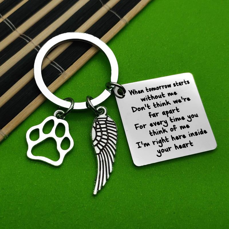 Loss of Pet Gift Keyring Pet Memorial Key Chain for Dogs Cats Pet Sympathy Gift Cat Dog Remembrance Gift Family Dog Family Cat Family Pet Keyring Gift for Pet Stainless Steel Keyring - PawsPlanet Australia