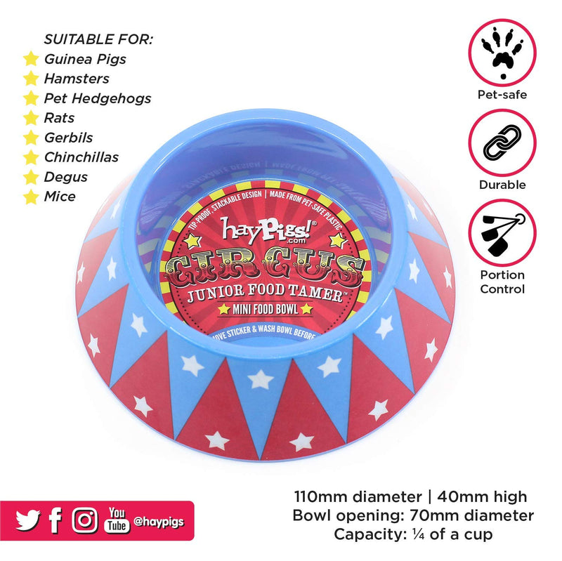 HAYPIGS Guinea Pig Bowl - Circus Themed Junior FOOD CRAVING TAMER Mini Guinea Pig Food Bowl - Hedgehog Bowl - Hamster Bowl - Small Animal Food Bowl - PawsPlanet Australia