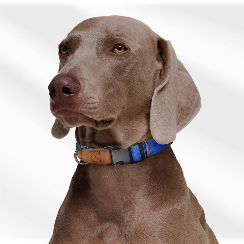 Mile High Life | Leather Dog Collar | Outdoor Simplicity Collection | Soft and Strong Poly Cotton Fabric | Variety Colors | Small Medium Large Dogs(S, Blue ) Small Neck 11"-15" -20 lb - PawsPlanet Australia