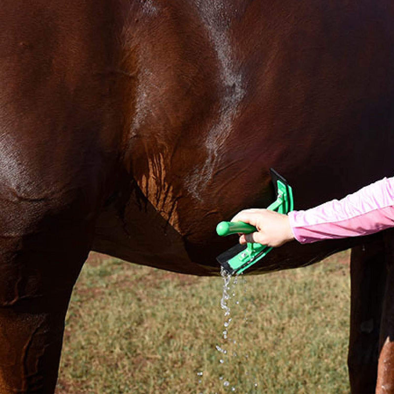 Happy Horse Thick Rubber Sweat Scraper Red - PawsPlanet Australia