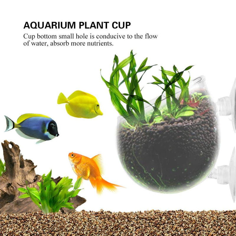 [Australia] - FTVOGUE Plant Glass Cup Pot with 2 Suction Cups Aquarium Aquatic Holder Fish Tank Accessory 