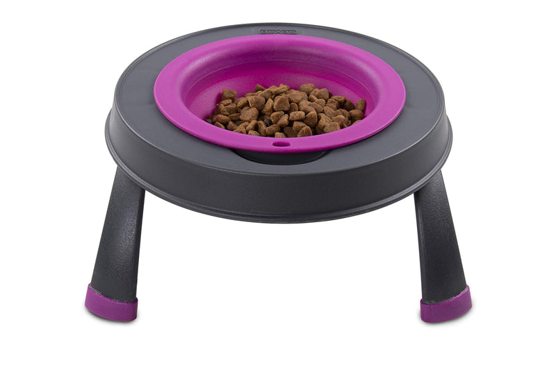 Dexas Popware for Pets Single Elevated Pet Feeder Small/1.5 Cup Capacity Fuchsia - PawsPlanet Australia