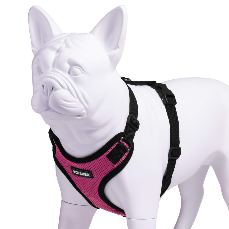 [Australia] - Voyager Step-in Lock Pet Harness – All Weather Mesh, Adjustable Step in Harness for Cats and Dogs by Best Pet Supplies Fuchsia S (Chest: 13 - 20") 