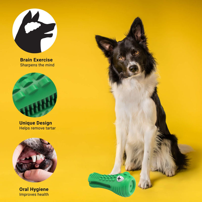 Dog Toys, Squeaky Dog Chews. Durable Natural Rubber Toothbrush. Pet Dental Care & Plaque Removal for Small to Large Dogs Green - PawsPlanet Australia