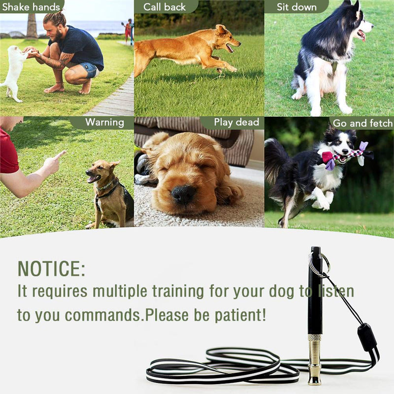 Dog Whistle with Free Lanyard, Adjustable Frequencies Ultrasonic Stainless Steel Dog Training Tool to Stop Barking, Action Control Tool for Dog Black - PawsPlanet Australia