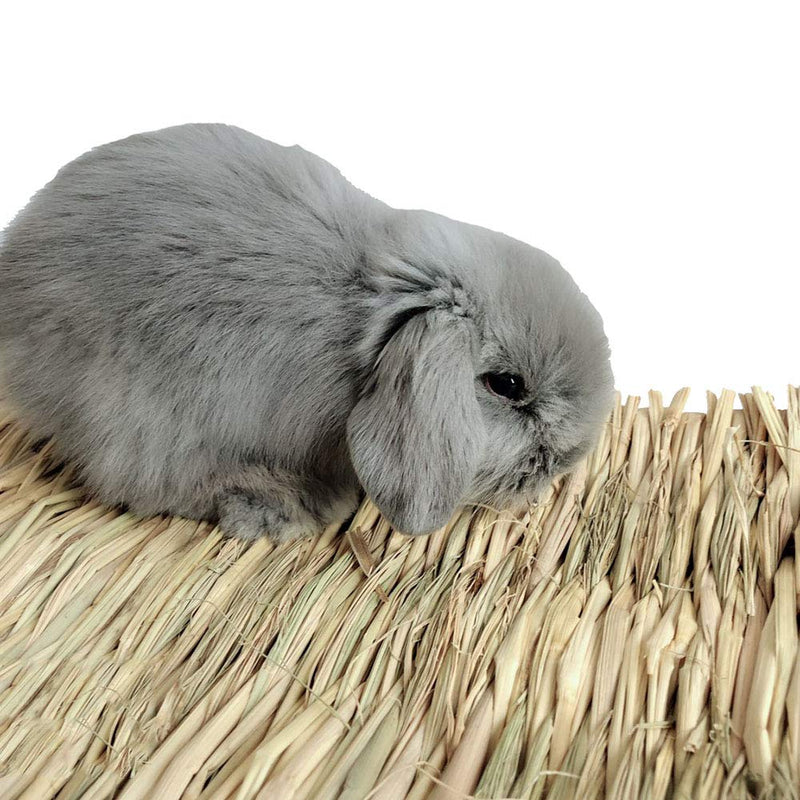 [Australia] - Grass Mat Woven Bed Mat for Small Animal Bunny Bedding Nest Chew Toy Bed Play Toy for Guinea Pig Parrot Rabbit Bunny Hamster Rat(Pack of 3) 