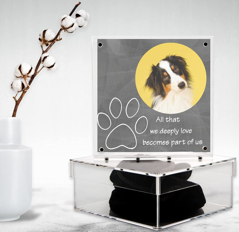 Sleeky Lime Dog Memorial Picture Frame with Memory Box – Clear Acrylic Pet Memorial Keepsake Boxes – Thoughtful Engraved Message – Ideal as Ash Urn, Memorial Box, Dog Owner Present - PawsPlanet Australia