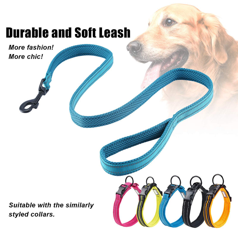 Kaka mall Heavy Duty Pet Dog Basic Lead Leash Soft Padded Reflective Strong Thick Nylon Webbing for Puppy Small Medium Large Dogs Walking Outdoor Travel 1.1 Meter Blue - PawsPlanet Australia