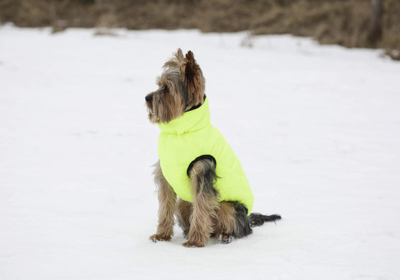 Maxi-Pet Charmonix 80660 Quilted Coat Medium 40 cm Grey/Neon/Yellow - PawsPlanet Australia