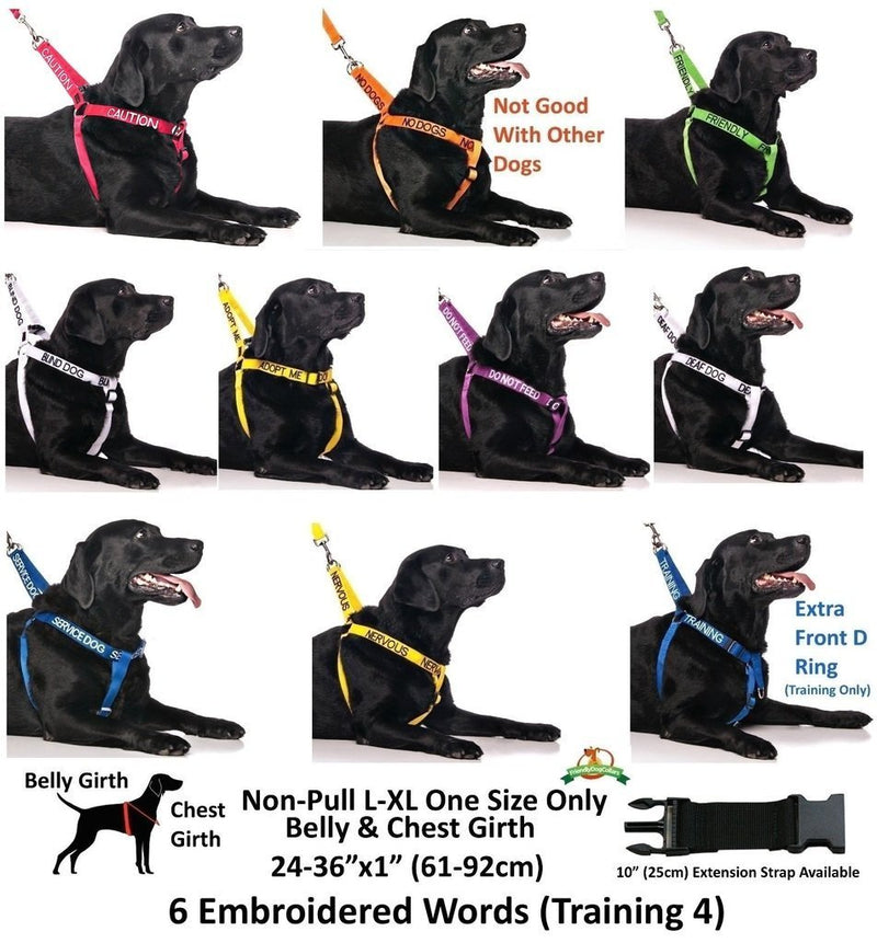 [Australia] - Dexil Limited Service Dog Blue Color Coded S-M L-XL Buckle Dog Collar (Do Not Disturb) Prevents Accidents by Warning Others of Your Dog in Advance L-XL Collar, 15-25"Lx1.25"W 