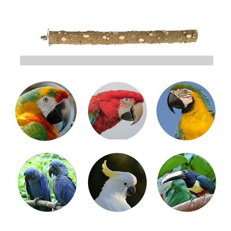 5 Pcs Bird Perches Parrot Stand Natural Wood Prickly Perch Parrot Toys Bird Cage Accessories for Conure Cockatiel Parakeet 16″ 12″ 8″ 6″ 4″ - PawsPlanet Australia