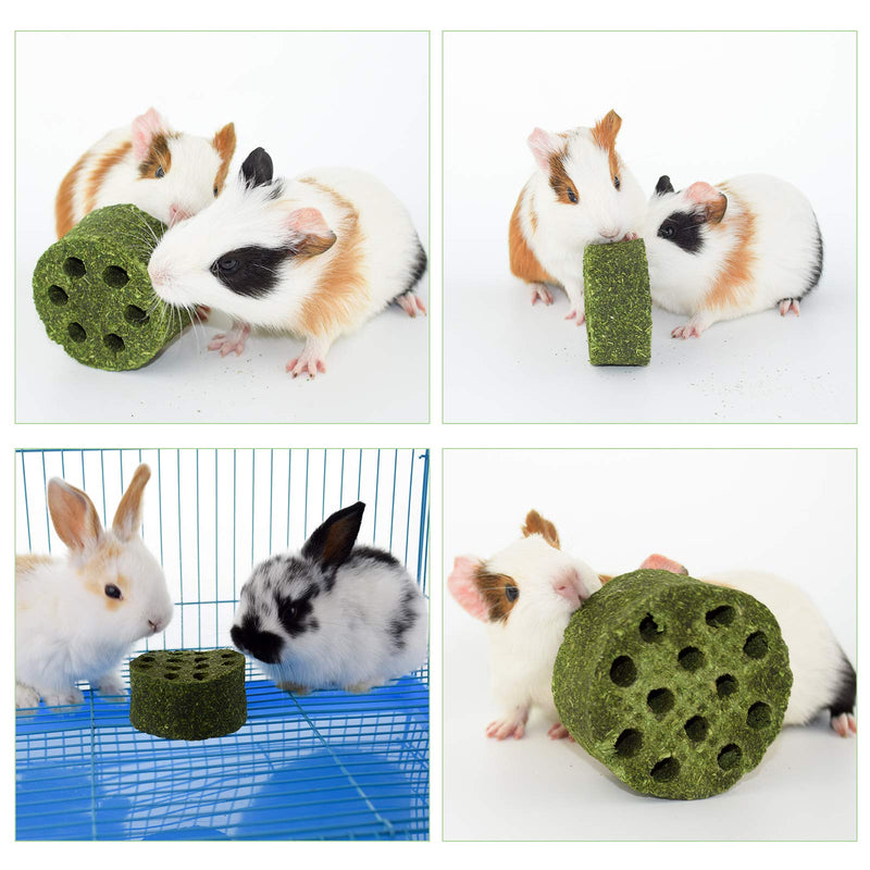 DMUUGURL Natural Timothy Grass Molar Stick Chew Toys, Alfalfa Grass Hay Grass Cakes for Rabbits, Chinchillas, Guinea Pigs, Hamsters, Squirrel and Other Small Animals Treats - PawsPlanet Australia