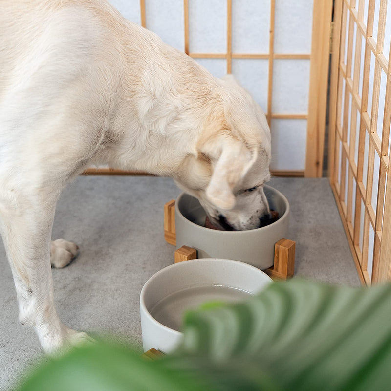 Navaris Ceramic Elevated Cat Bowls - Raised Double Food and Water Bowl Set for Cats and Small Dogs with Wood Stands - No Spill Eco Friendly Pet Bowls M Grey - PawsPlanet Australia