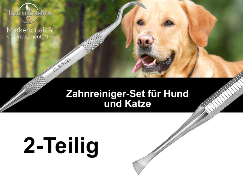 Dog Mini Tartar Scraper Tartar Remover Set with Case Toothpick Tooth Cleaner Pet Dental Care for Animals Made of Stainless Steel Also for cats or rabbits as teeth cleaning - PawsPlanet Australia