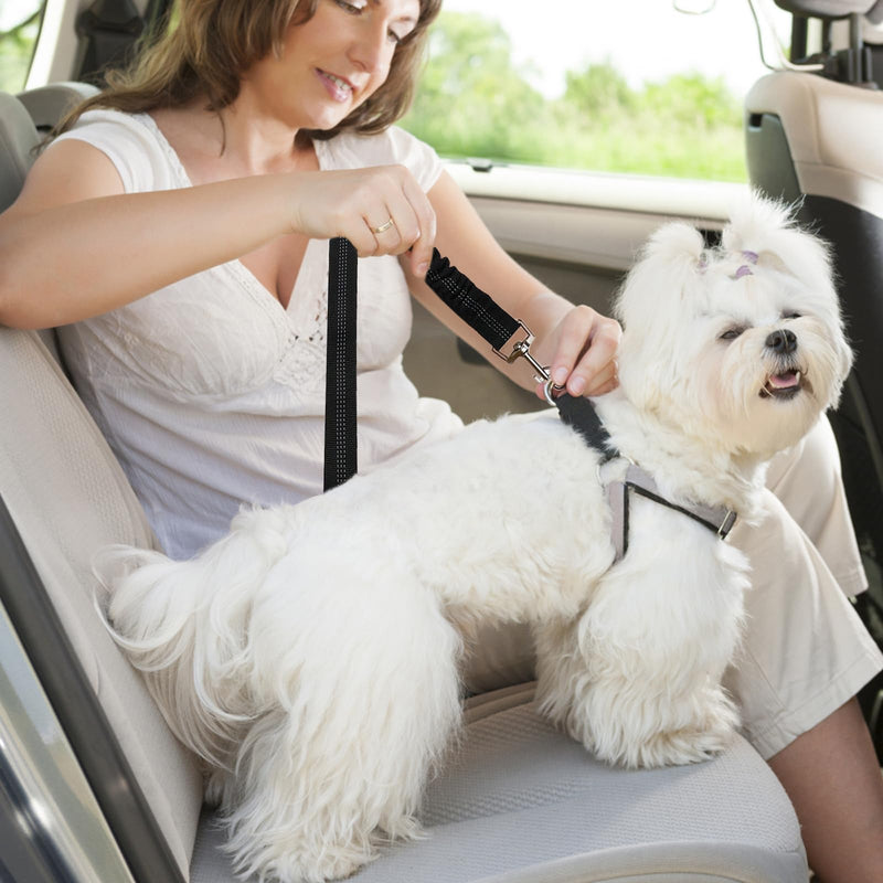 Nutabevr Pack of 2 dog belts for the car, length adjustable dog seat belt, with elastic shock absorption and strong carabiner seat belt, dog safety harness for all dogs and cats - PawsPlanet Australia