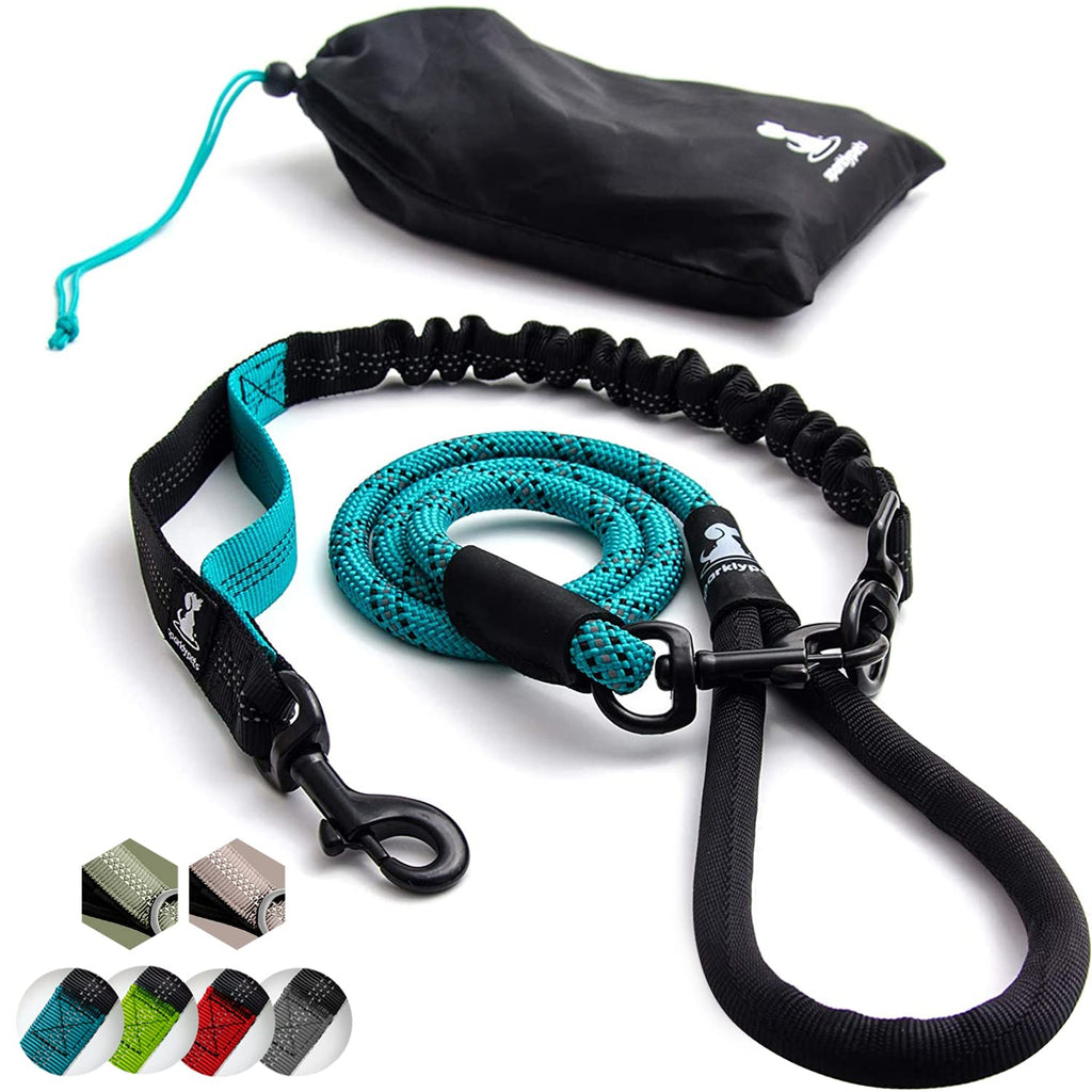 Dog leash with bungee extension for large and medium-sized dogs with shock absorber | Reflective Elastic Dog Leash for Walking (Teal, For ONE Dog) Teal - PawsPlanet Australia