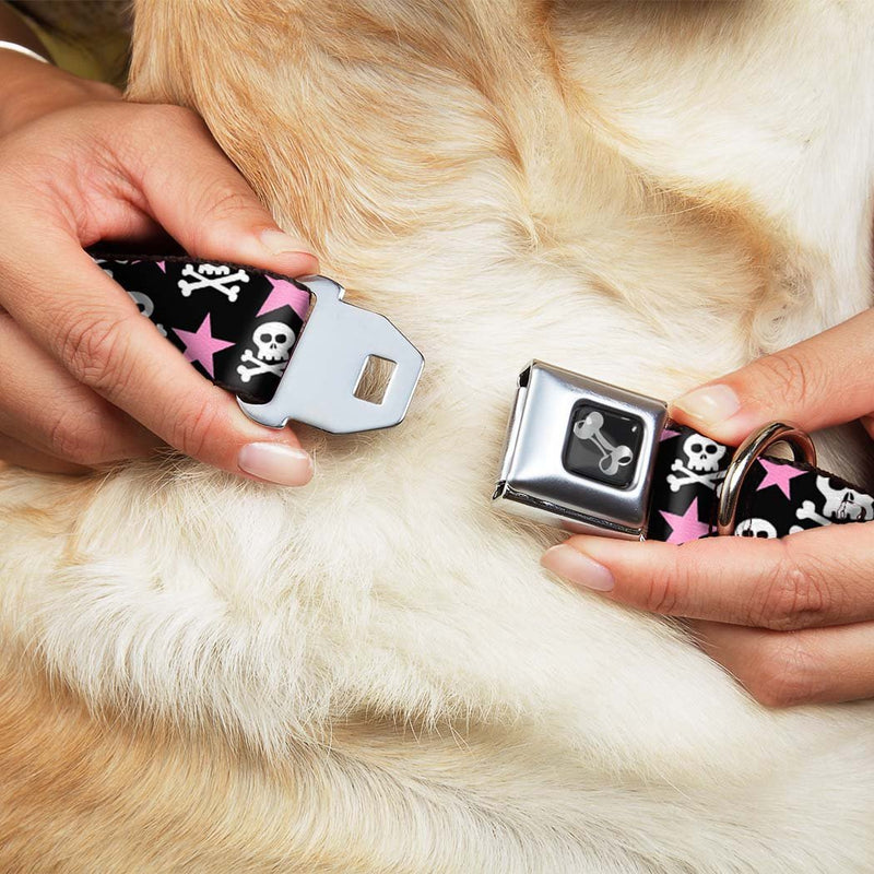 [Australia] - Buckle-Down Dog Collar Seatbelt Buckle Skulls Stars Black White Pink Available in Adjustable Sizes for Small Medium Large Dogs 