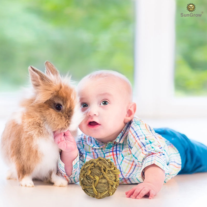 [Australia] - SunGrow Seagrass Ball, 3 inches, Bouncy, Chewable Teething Pet Toy for Rabbits, Cats, Hamsters, Gerbils, Birds and Other Pocket Pets, Handwoven Seagrass Ball & Reduce Bunny Boredom Seagrass Ball ( 1 Pack ) 