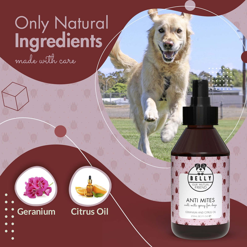 Belly Anti Mites Spray - Dog Mite Spray, An Ideal Mite Treatment For Dogs & Natural Mite Killer For On The Go - Mite treatment dogs - Alternative To Mite Shampoo For Dogs & Mite Drops For Dogs, 250 ml - PawsPlanet Australia