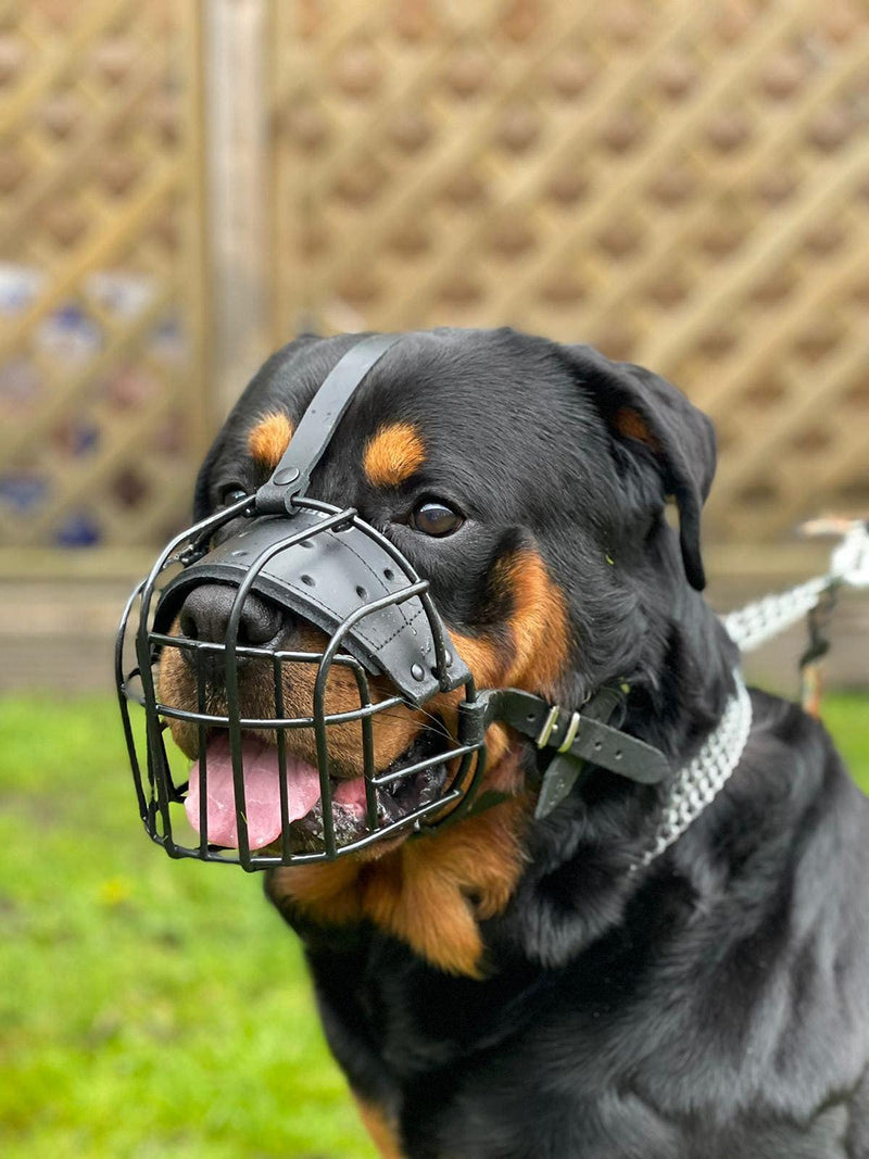 STRONG Wire Metal muzzle Basket Dog Muzzle Rottweiler,Mastiff Golden Retriever & other (R1, Black/Black Leather) R1 Black / Black Leather - PawsPlanet Australia