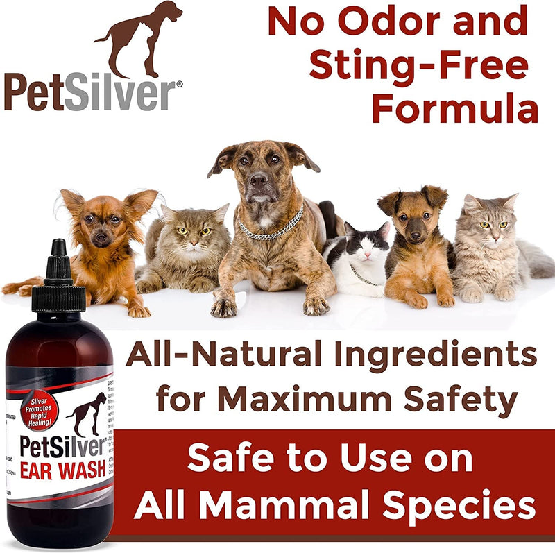 PetSilver Dog & Cat Ear Cleaner Solution | All Natural, Made with Chelated Silver | Non-Prescription Dog Ear Infection Treatment | Ear Mite & Yeast Treatment | Made in USA | 4 oz - PawsPlanet Australia