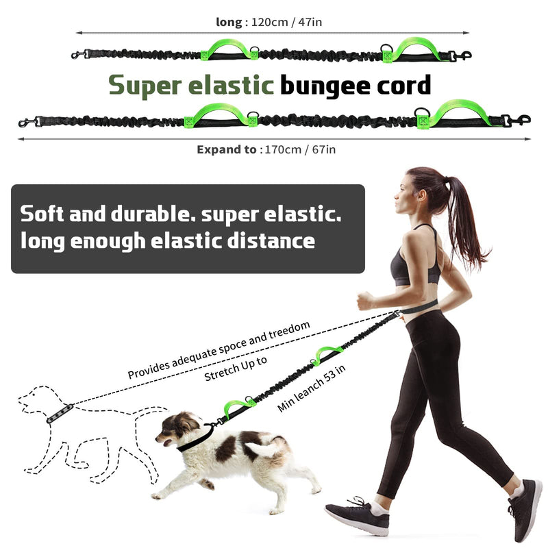 Jogging leash for dogs, Unipampa hands-free dog leash, hand-free dog leash, jogging dog leash, with waist strap, reflective seams, 120-170 cm, double handle, for small dogs, medium-sized dogs... Green - PawsPlanet Australia
