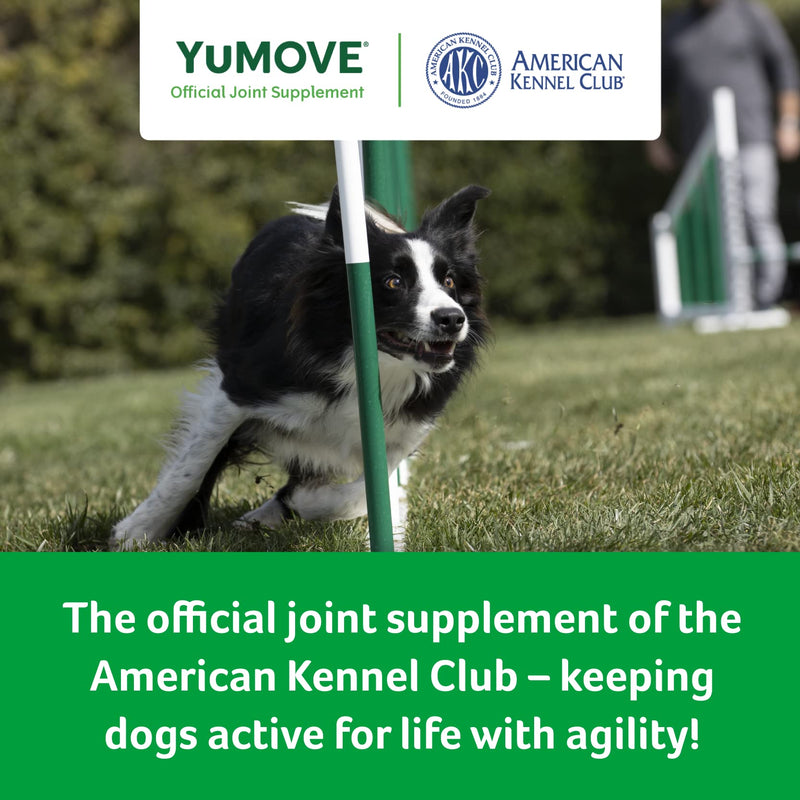 YuMOVE Hip and Joint Supplement for Dogs 60 count tablets Tablets: Adult - PawsPlanet Australia