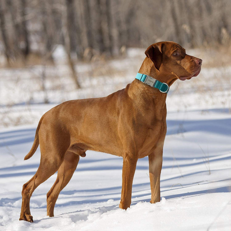 [Australia] - beebiepet Classic Dog Collar with Strong Metal Buckle Adjustable Dog Collars for Small Medium Large Dogs collar+leash S neck 11"-14" Turquoise 