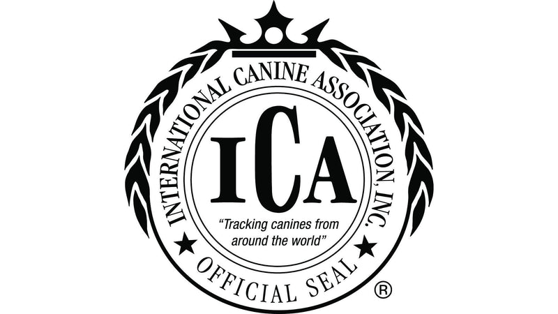 The Original Tick Key -Tick Removal Device - Portable, Safe and Highly Effective Tick Removal Tool (Magenta) - PawsPlanet Australia