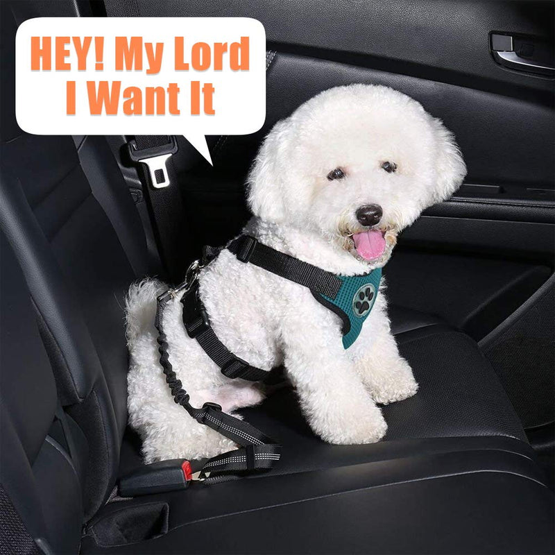 Eighth Days Car Seat Belt & Lead for Small Medium Large Dogs with Elastic Nylon Lead - PawsPlanet Australia