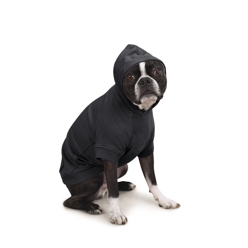 Zack & Zoey Basic Hoodie for Dogs Jet Black Medium - PawsPlanet Australia
