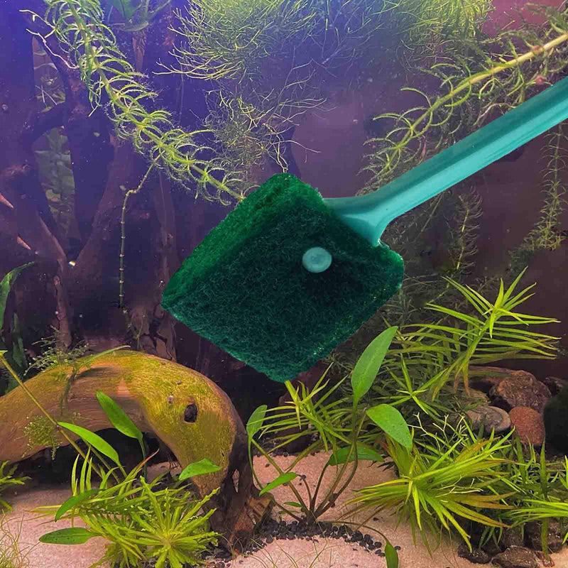 AOODOOM 3 PCS Double-Sided Aquarium Fish Tank Algae Cleaning Brush with Non-Slip Handle, Sponge Scrubber Cleaner for Glass Aquariums and Home Kitchen - PawsPlanet Australia