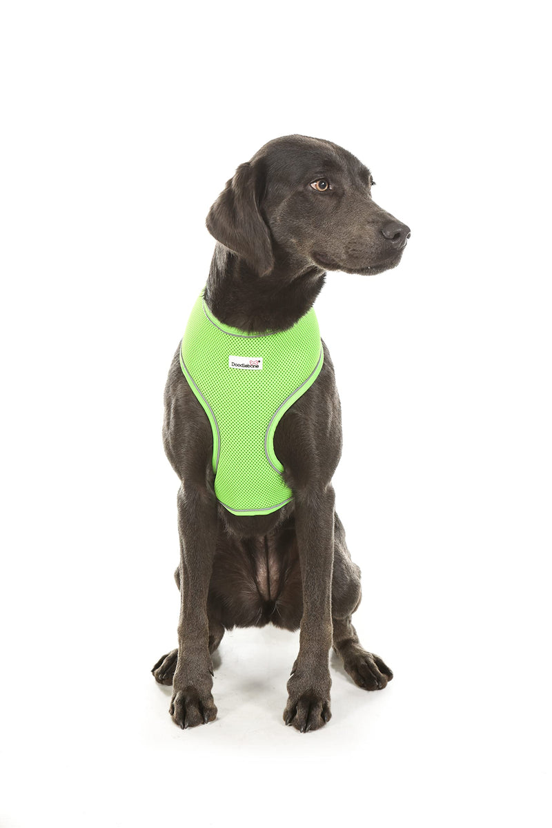Doodlebone Originals Airmesh Dog Harness (Apple, 1) Apple - PawsPlanet Australia