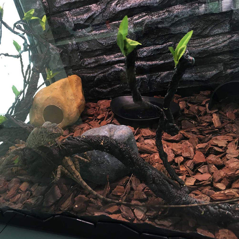 Balacoo Reptile Vines Climbing Branch Flexible Pet Habitat Decor for Chameleons Snakes Lizards and Other Reptiles - PawsPlanet Australia