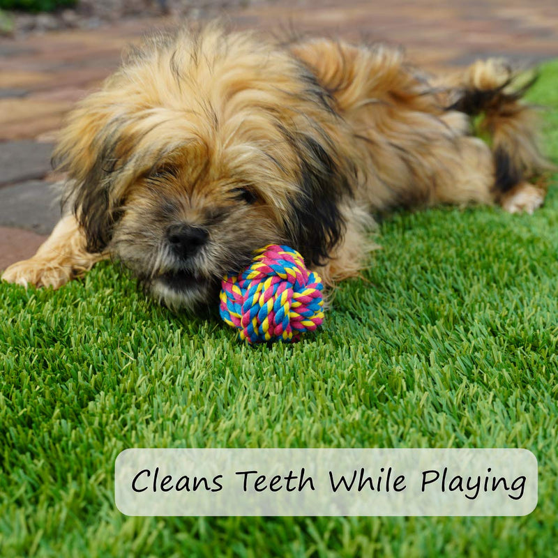 [Australia] - Otterly Pets Small Puppy Dog Rope Toys for Play Chew Teething and Boredom - for Smaller Dogs (6-Pack) 