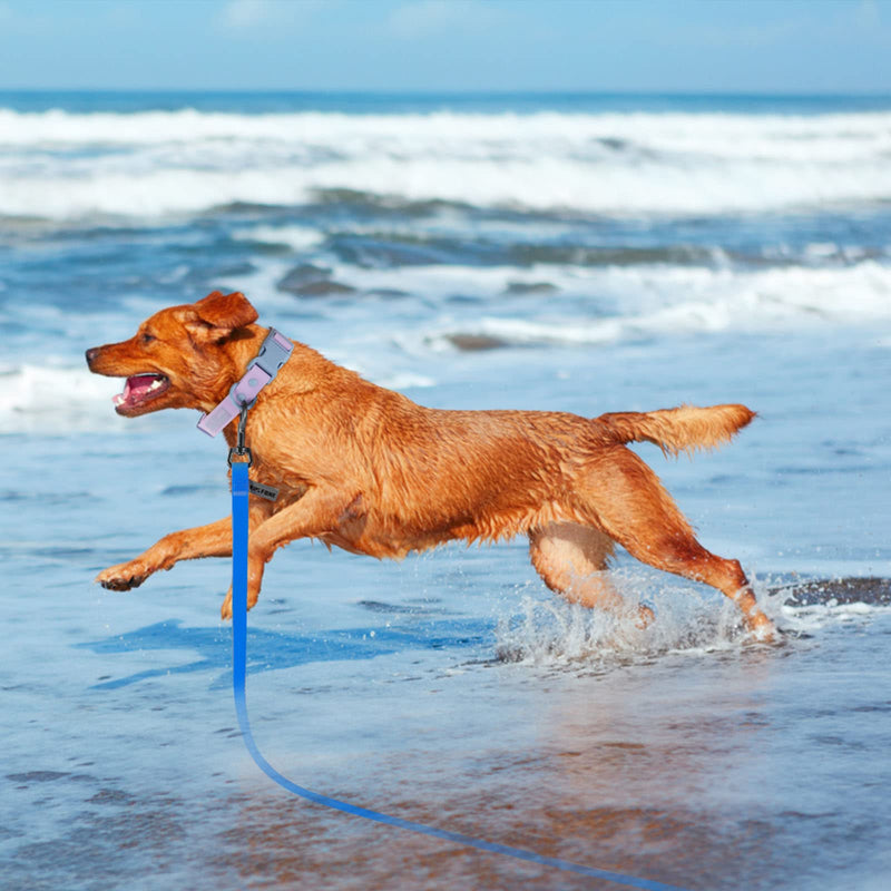 Wolfone 15m blue towing leash for dogs, waterproof training leash, durable and easy-care leash, suitable for recall, swimming, camping, beach, hunting, walks - PawsPlanet Australia