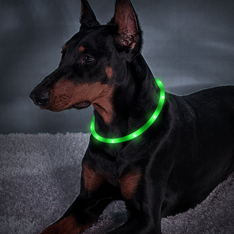 [Australia] - Domi USB Rechargeable LED Dog Collar Glowing Pet Collar, 3 Flashing Mode Light Up Dog Collar, Silicone Cuttable Dog Collar for Your Small Medium Large Dogs& Cats Green 