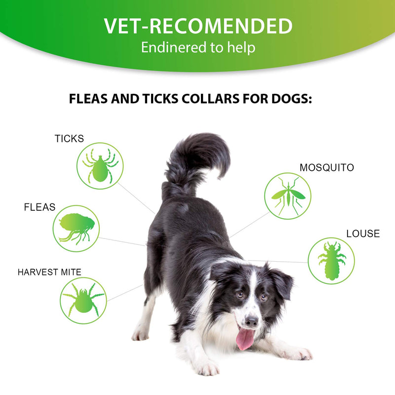 Petsvv 2 Pack Flea and Tick Prevention for Dogs Collar, Allergy Free and Hypoallergenic, Repels Fleas & Ticks Collar, 100% Natural Ingredients, 25 inch - PawsPlanet Australia