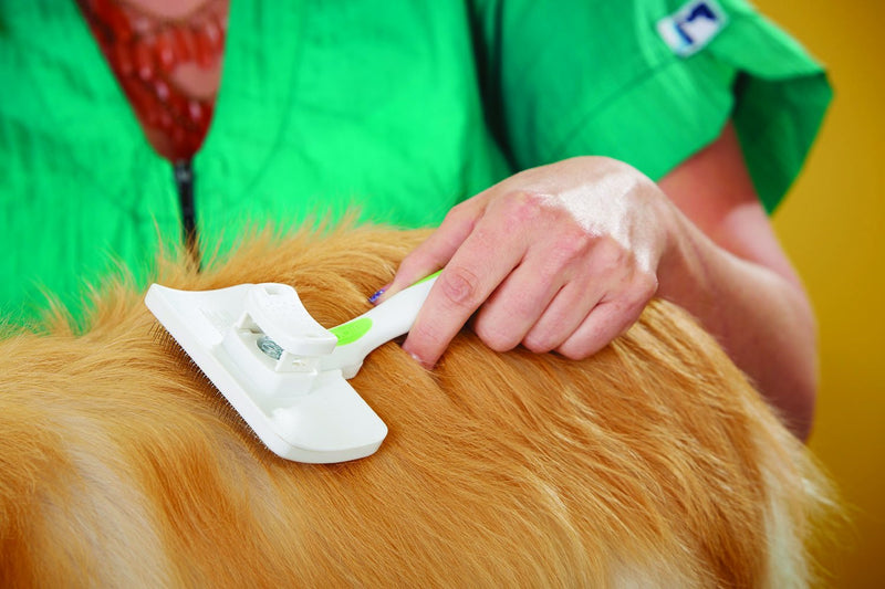 [Australia] - Andis Pet Self-Cleaning Animal Slicker Brush (40160) 