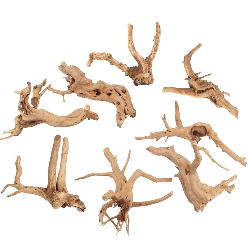 SERJOOC 6Pcs Aquarium Driftwood Spider Wood Ornament for Fish Tank Natural Branches Decorations (4in-6in) - PawsPlanet Australia