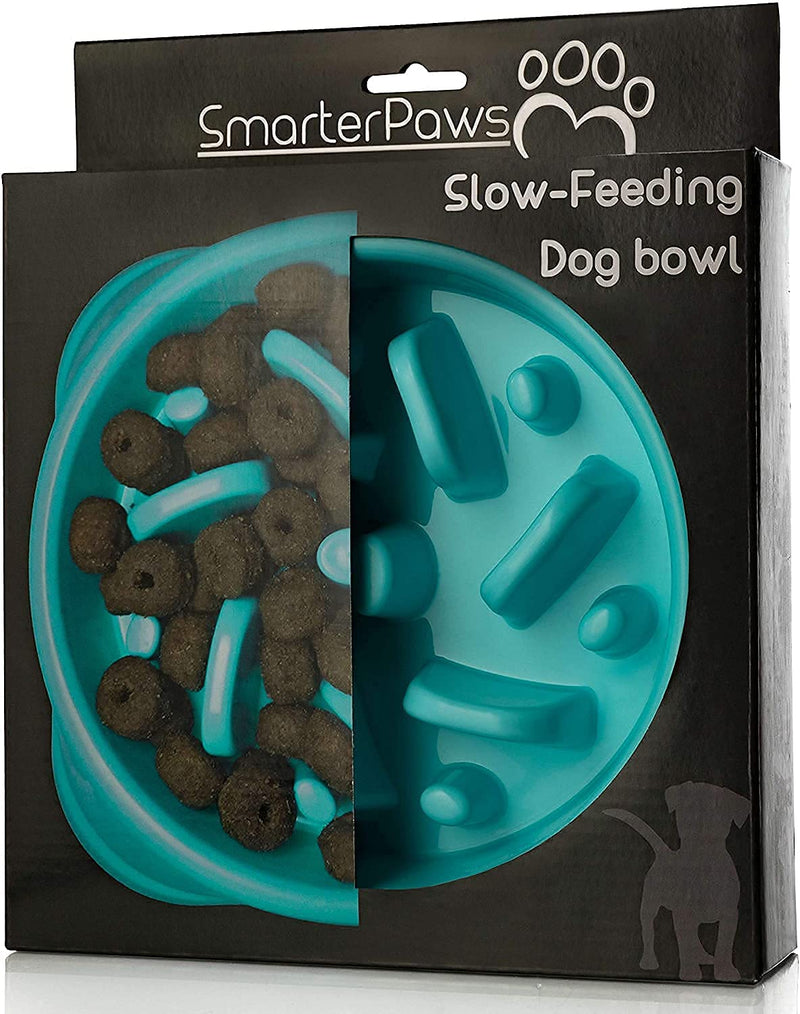 Slow eating dog bowl - PawsPlanet Australia