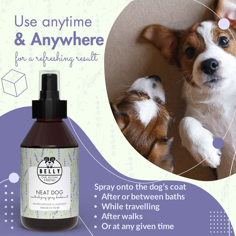 Belly Dog Deodoriser Spray - Natural Dog Perfume Spray and Dog Cologne Spray - Dog Spray For Smelly Dogs - Grooming Products For Dogs, Dog Deodorant Spray, Puppy Spray, Puppy Perfume Spray, 250 ml - PawsPlanet Australia