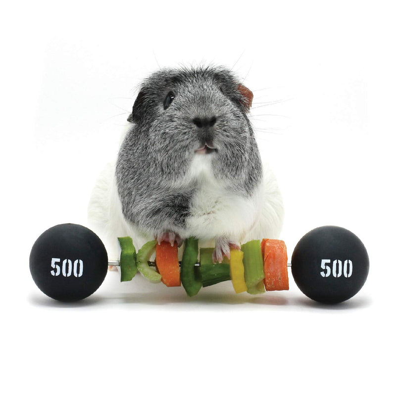 HAYPIGS Guinea Pig Accessories and Toys - Piggy Weightlifter Feeding Skewer in Circus Look - Guinea Pig Toy - Rabbit Toy - Hamster Toy - Rat Toy - PawsPlanet Australia