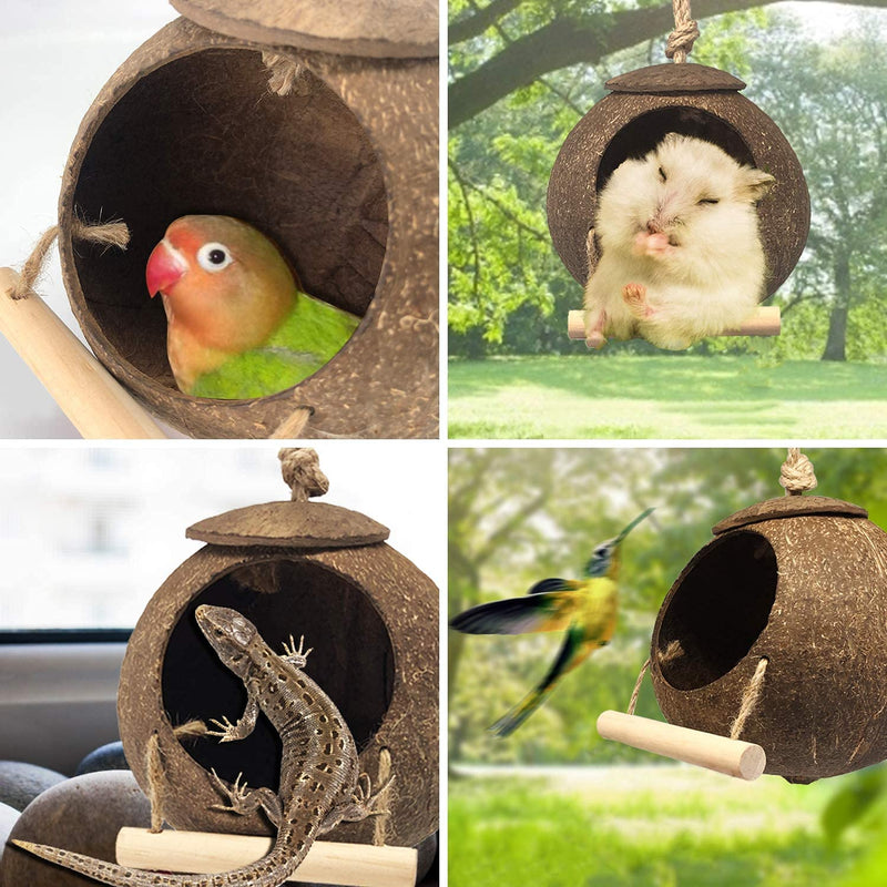 DTnewsun Natural Coconut Bird Cage with Ladder?Durable Cave Habitat with Hanging Loop?Toy Set for Parrot Chewing or Perching?They are suitable for small pets such as parrots and squirrels - PawsPlanet Australia